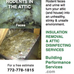 BPS Insulation - Building Performance Services uses CDC protocol for urine/feces removal, and the subsequent necessary disinfecting.