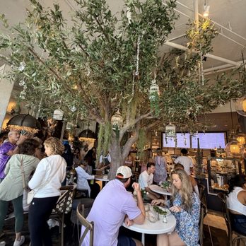 Glimmer Cafe - Cafes Near Me - Delray Beach, Florida Glimmer Cafe - Cafes Near Me - Delray Beach, Florida