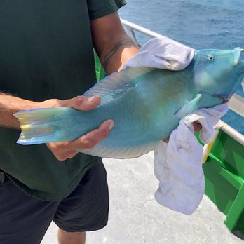 Marathon Lady - Fishing Near Me - Marathon, Florida
