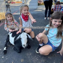 A One of a Kind Petting Zoo - #A1ponyparty #pettingzoo #pettingfarm #pettingzooparty #pettingzoofun