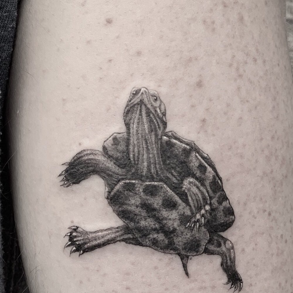 Turtle by Duncan