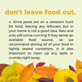 Eco Pest Solutions - Pest Control Near Me - Chicago, Illinois