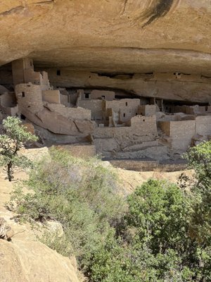 Cliff Palace by null