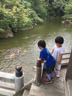 Naritasan Park by null