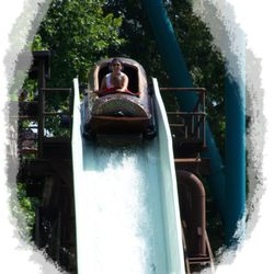 Log Jamboree