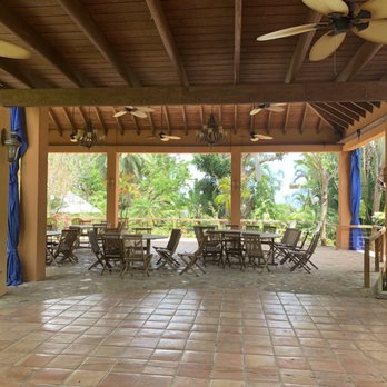 Plantation Crown and Hawk Botanical Garden - Perfect party location! - Botanical Gardens Near Me - Saint Thomas, Virgin Islands