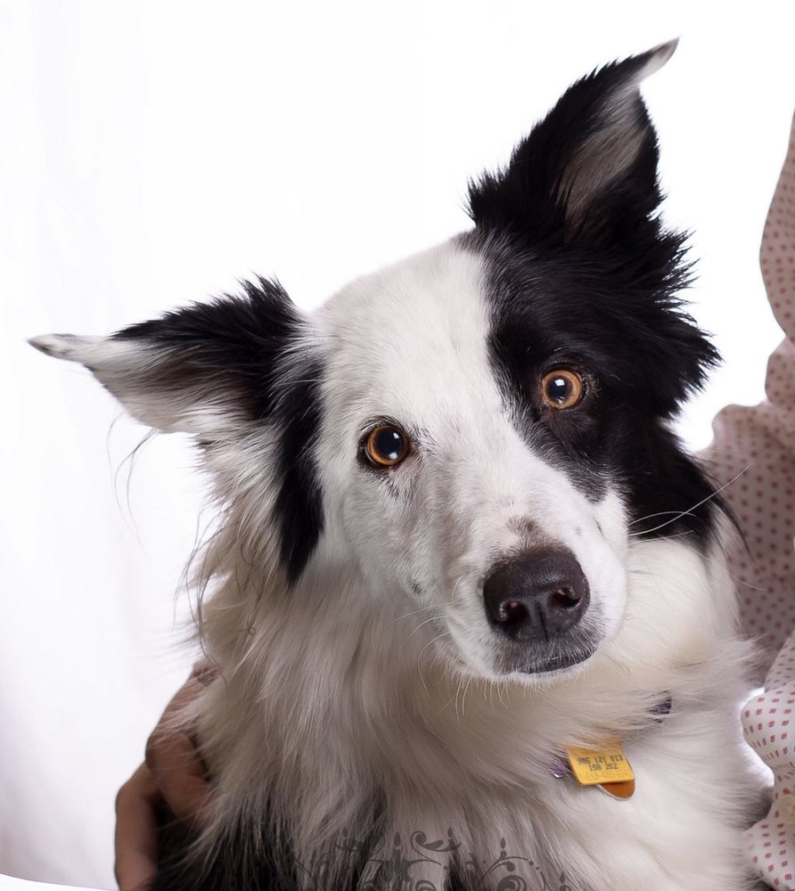 David Clark, MA - grief counselor in Sacramento, CA