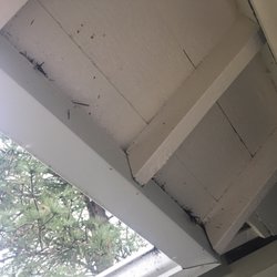 Brazil's Roofing