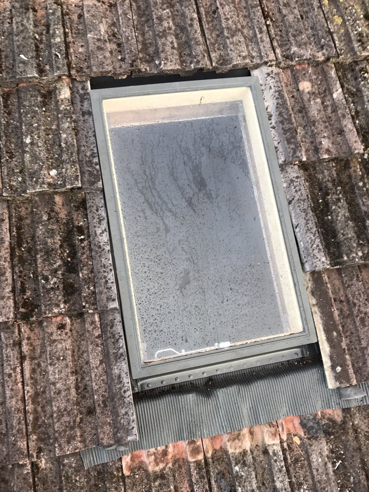 PROBUILD CONTRACTS LTD Updated July 2024 10 Photos 100 Roseburn