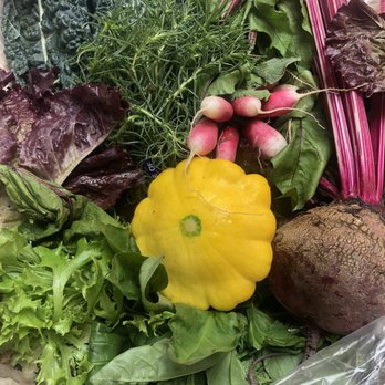 Got Harvest - Great variety of GREENS! - CSA Near Me Got Harvest - Great variety of GREENS! - CSA Near Me