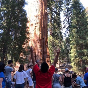 General Sherman Tree - Hiking Near Me - Sequoia National Park, California General Sherman Tree - Hiking Near Me - Sequoia National Park, California