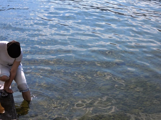 Kelowna City Park by null