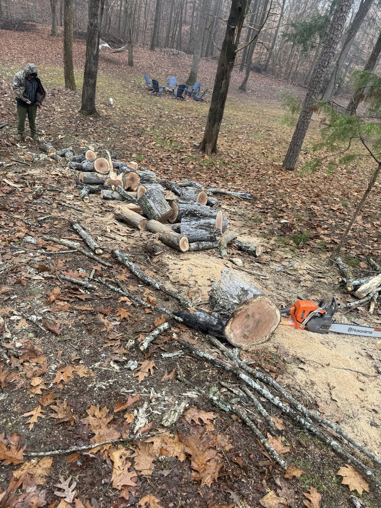 J & G Landscaping & Tree Service - tree service in Charlotte, NC