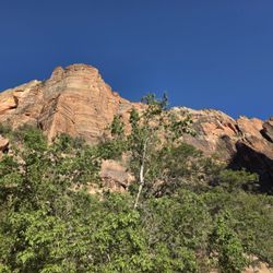 Zion Canyon Scenic Drive - Zion Canyon Scenic Drive