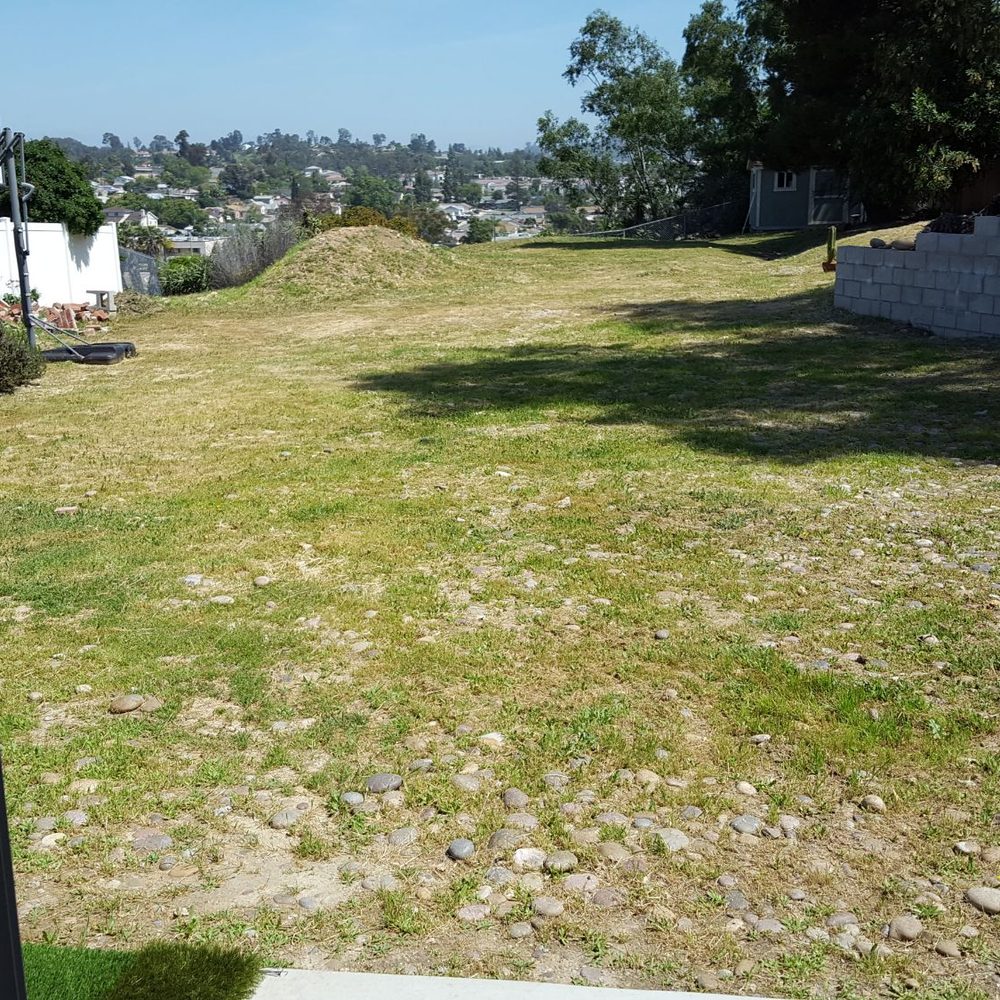 Smart Landscape - Before - Landscaping Near Me - San Diego, California Smart Landscape - Before - Landscaping Near Me - San Diego, California