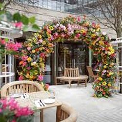 Mrs Fogg’s Dockside Drinkery & Distillery