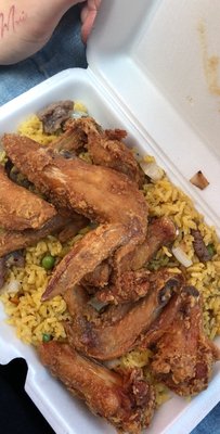 Double Dragon by null