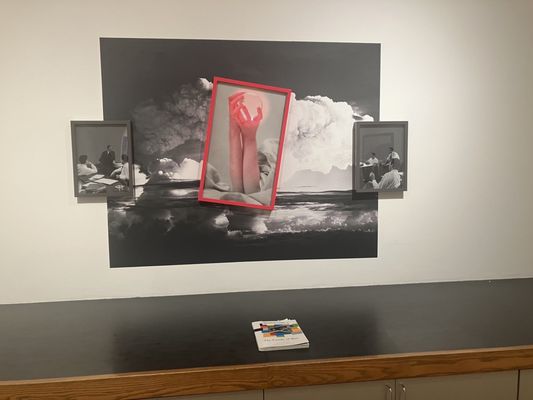 Museum of Contemporary Photography by null