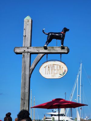 The Black Dog Tavern by null