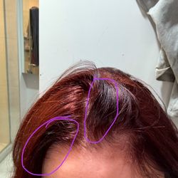 Salon Buzz - Dark brown root after asking for even color all over