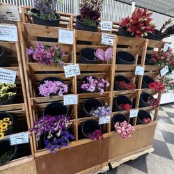 Vogue Flowers, Gifts & Richmond Flower Delivery