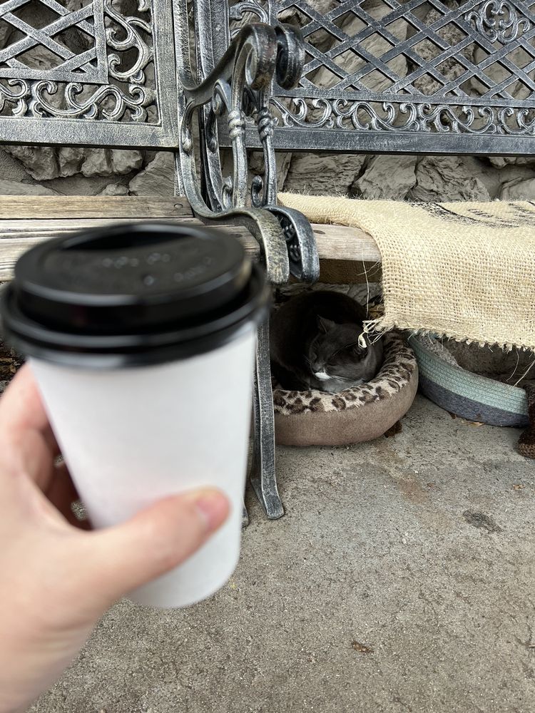 GRINDERS STEEP Updated July 2024 26 Photos & 53 Reviews 21187