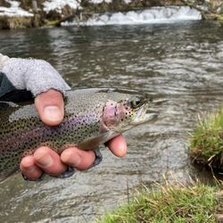 The Hook Fly Shop - It's not cold when your catching fish.!!