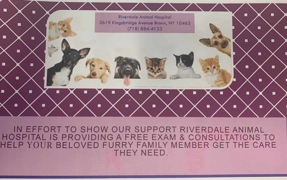 Riverdale Veterinary Group Krvc