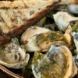 Arthouse - Chat-broiled oysters