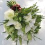 Photo of Floral Artistry by Alison Bucholz-Ellis
