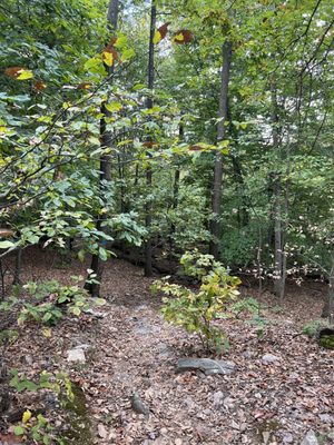 Sugarloaf Mountain by null