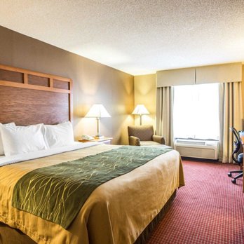 hotels in shelby nc that allow dogs