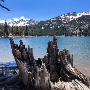 Horseshoe Lake - Beautiful lake - Lakes Near Me - Mammoth Lakes, California Horseshoe Lake - Beautiful lake - Lakes Near Me - Mammoth Lakes, California