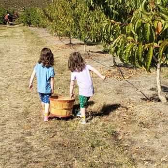 Bell's Orchard - Fruits & Veggies Near Me - Beaverton, Oregon