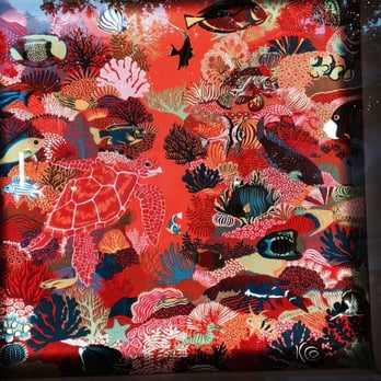 River Oaks District - Hermes window - Shopping Centers Near Me - Houston, Texas