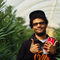 Vibe - A tour through the Trees  with the Vibe Team!