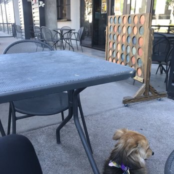 The Casual Pint - Central Phoenix - Wiley likes going to the bar - Beer Bar Near Me - Phoenix, Arizona The Casual Pint - Central Phoenix - Wiley likes going to the bar - Beer Bar Near Me - Phoenix, Arizona