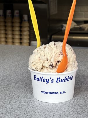 Bailey's Bubble by null