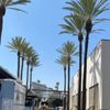 Los Gatos gift card