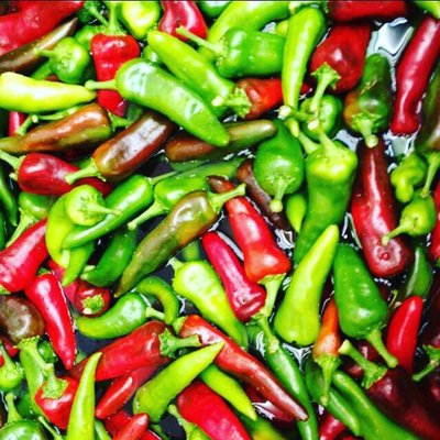 Mauro Farms & Bakery by null