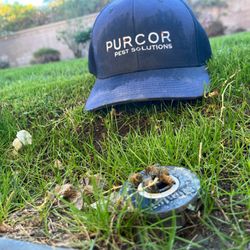 PURCOR Pest Solutions