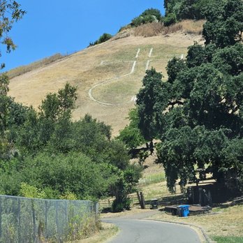 The Dragon Mountain Thien Long Son - Thien Tam symbol on the mountain - Parks Near Me - Milpitas, California The Dragon Mountain Thien Long Son - Thien Tam symbol on the mountain - Parks Near Me - Milpitas, California