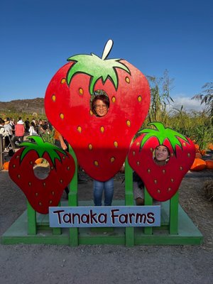 Tanaka Farms by null