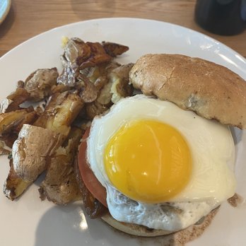 Sixty Vines - Cabernet Brunch Burger & potatoes - Wine Bars Near Me - Winter Park, Florida Sixty Vines - Cabernet Brunch Burger & potatoes - Wine Bars Near Me - Winter Park, Florida