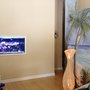 Photo of Carrollwood Massage Therapy