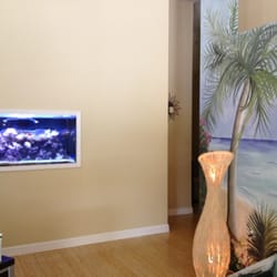Carrollwood Massage Therapy
