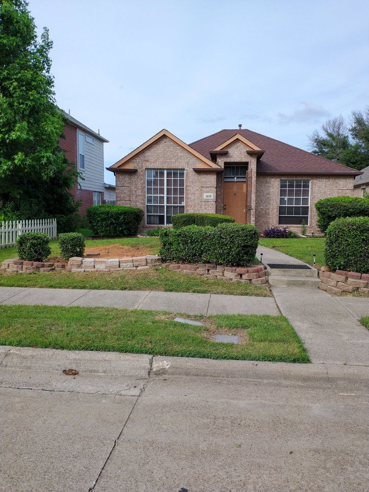 DFW Tree Solution - tree service in Arlington, TX