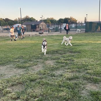 Orange Dog Park - Dog Parks Near Me - Orange, California