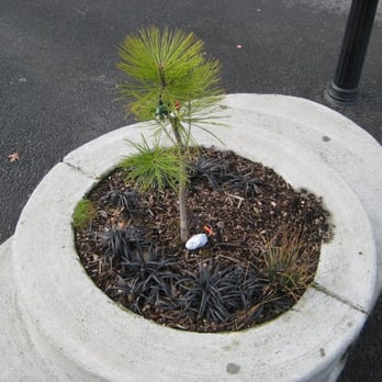 Mill Ends Park - Parks Near Me - Portland, Oregon