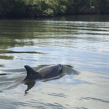 Treasure Coast Cruises - Boat Tours Near Me - Vero Beach, Florida Treasure Coast Cruises - Boat Tours Near Me - Vero Beach, Florida